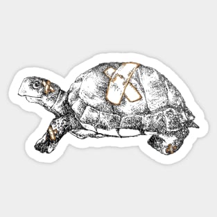 Healing Turtle Sticker